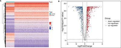 Identification and Validation of Angiogenesis-Related Gene Expression for Predicting Prognosis in Patients With Ovarian Cancer